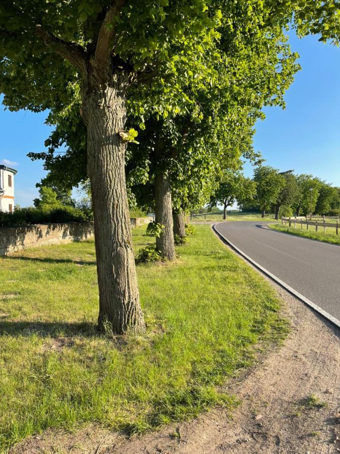 Mitten in der Natur : Ferienwohnung mit 3 Schlafzimmern, neu eingerichtet Neu Gaarz Exterior foto